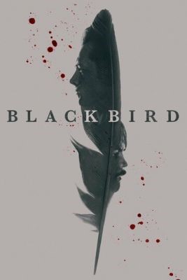 Чёрная птица (2022) Сериал скачать торрент