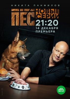 Пёс (2021) 7 сезон Сериал скачать торрент